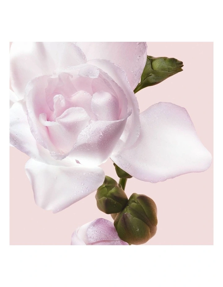 Flowerbomb EDP Giftset (30ml  Body Lotion   Body Cream) image 6