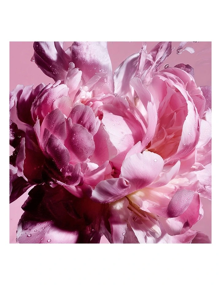 Flowerbomb Pretty Peony Giftset (50ml   10ml   Body Cream) image 6