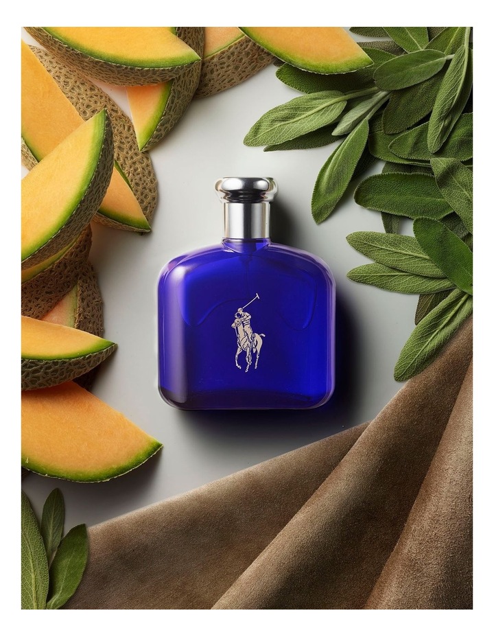 Ralph Lauren Fragrance World Of Polo Holiday Gift Set (valued At $135 ...