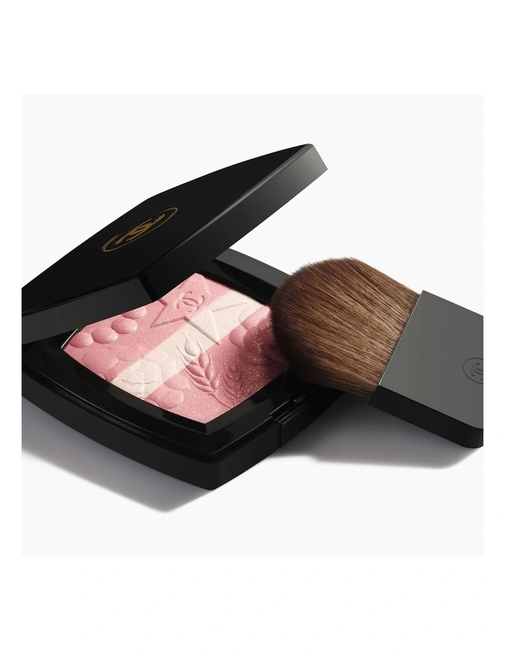 LES SIGNES DE CHANEL Illuminating Powder Blush image 2