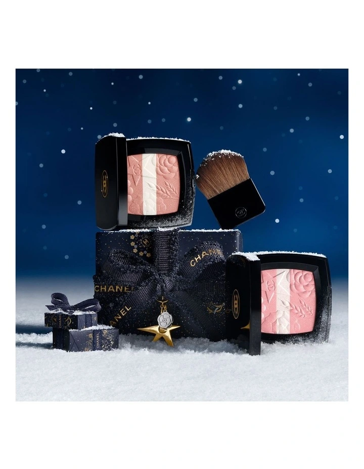 LES SIGNES DE CHANEL Illuminating Powder Blush image 7