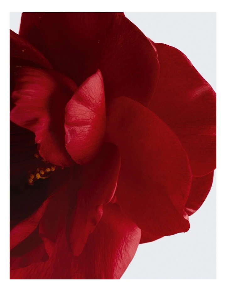 N°1 DE CHANEL Lip and Cheek Balm Enhances Colour Nourishes Plumps image 6