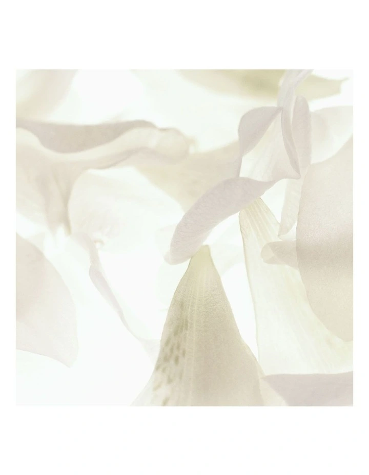 ÉCLAT PREMIER LA MOUSSE Brightening Cleansing Cream-To-Foam image 6