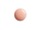 03 Rose Coquille