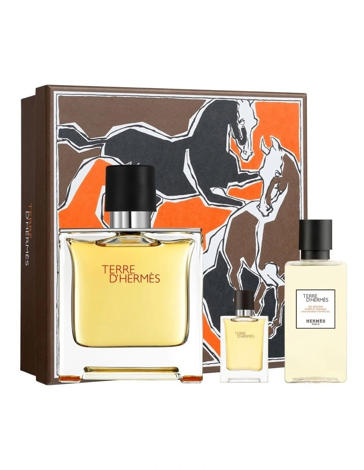 Terre d'Hermes Pure Perfume Fathers' Day Set image 1