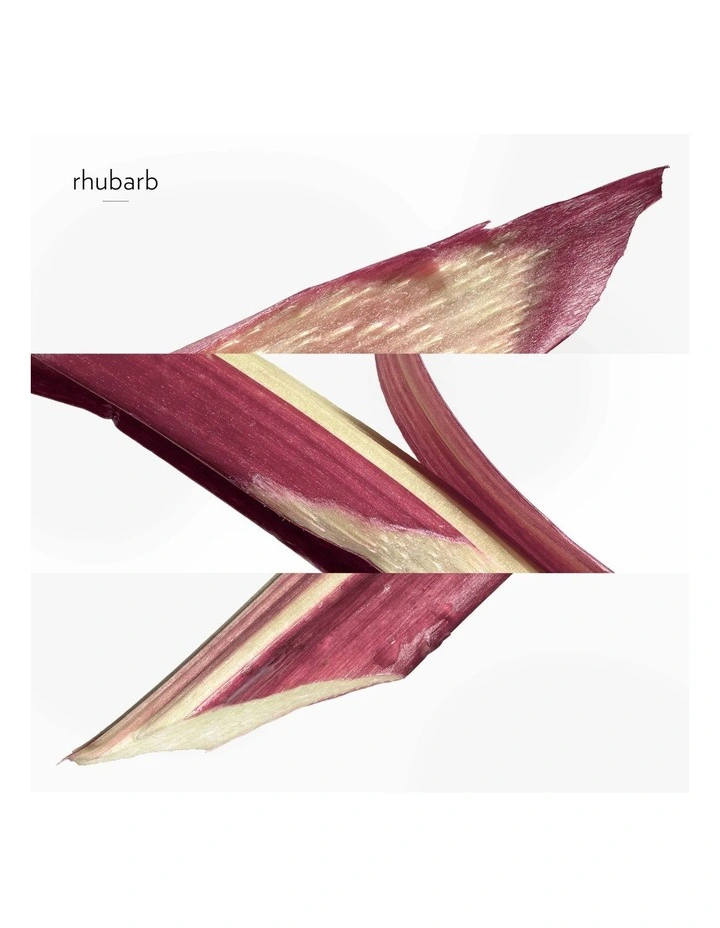 Eau de Rhubarbe Ecarlate Hand & Body Cleansing Gel 300ml image 3