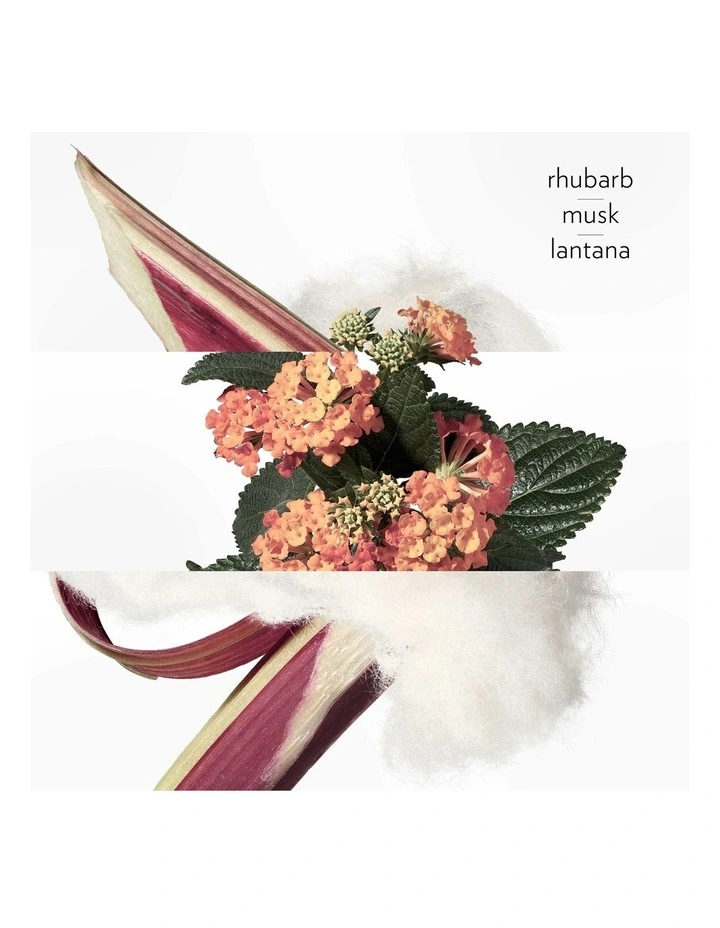 Eau de Rhubarbe Ecarlate Hair and Body Shower Gel 200ml image 2