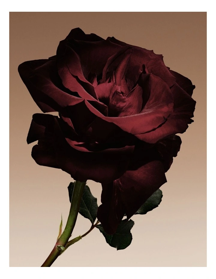 Prive Cuir Nu Eau de Parfum 50ml image 7