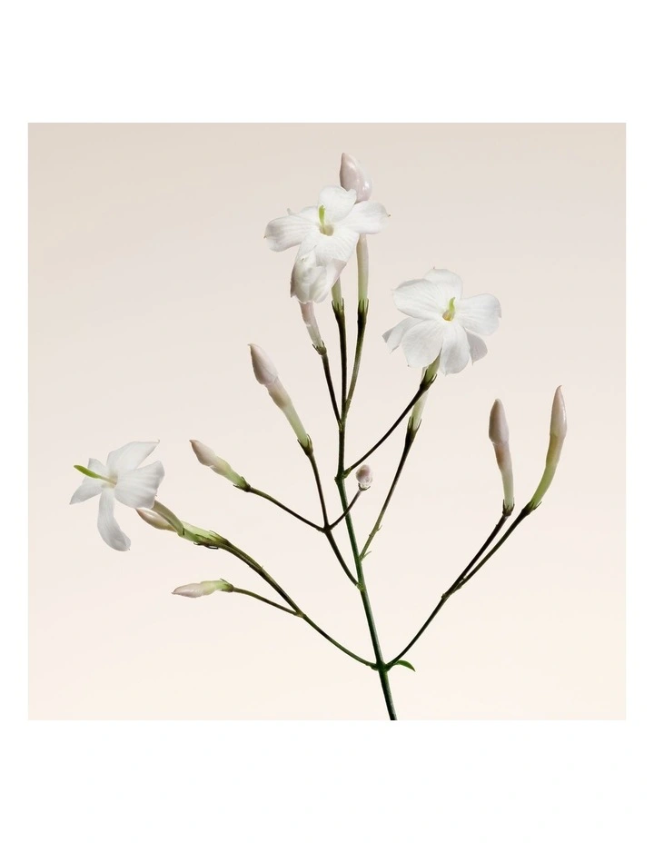 Armani Prive Oud Nacre EDP image 5