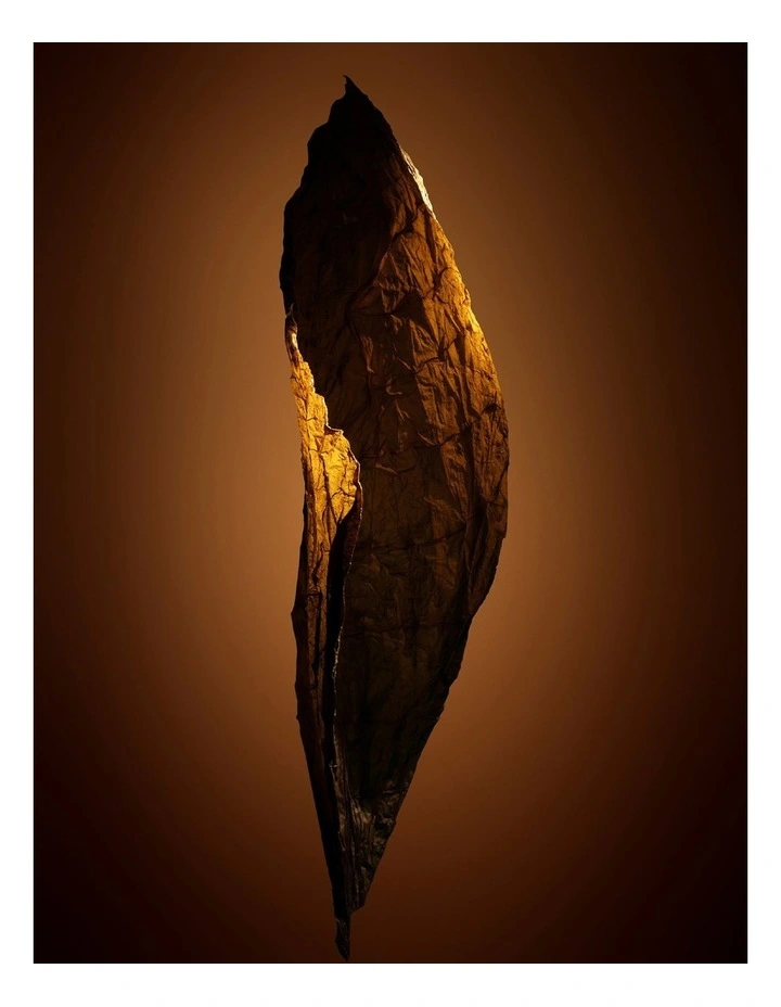Tobacco Chocolat Eau de Parfum image 4