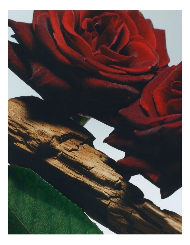 Velvet Rose and Oud Body Spray 150ml image 2