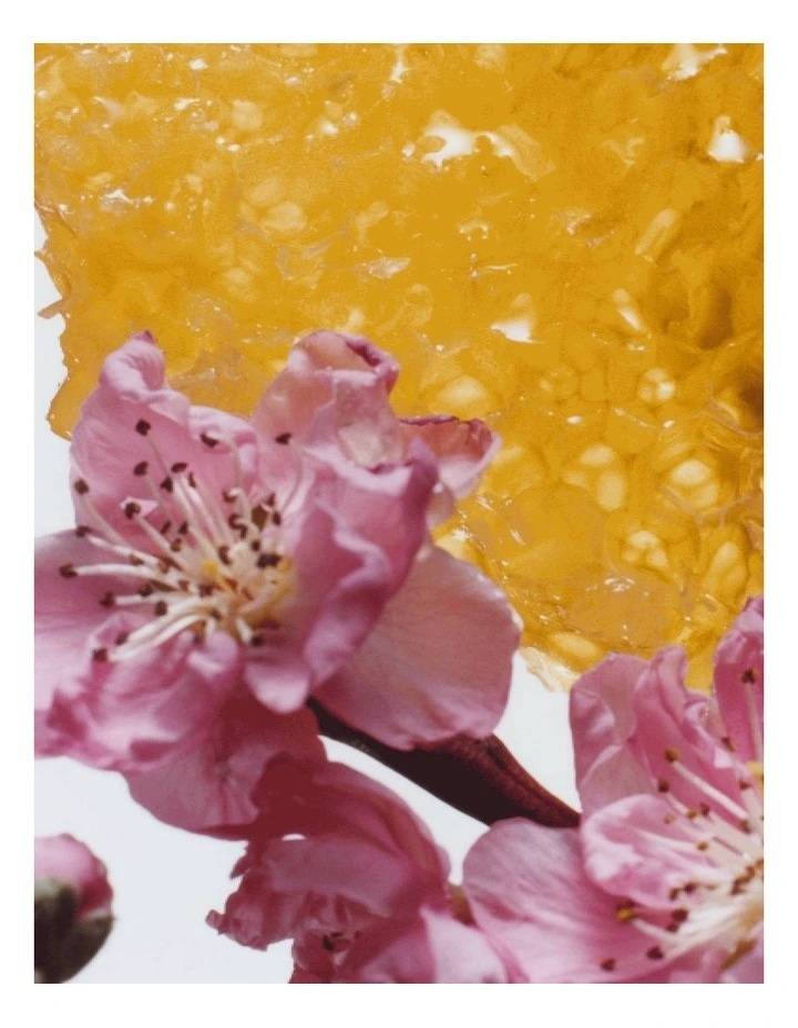 Nectarine Blossom & Honey Cologne image 6