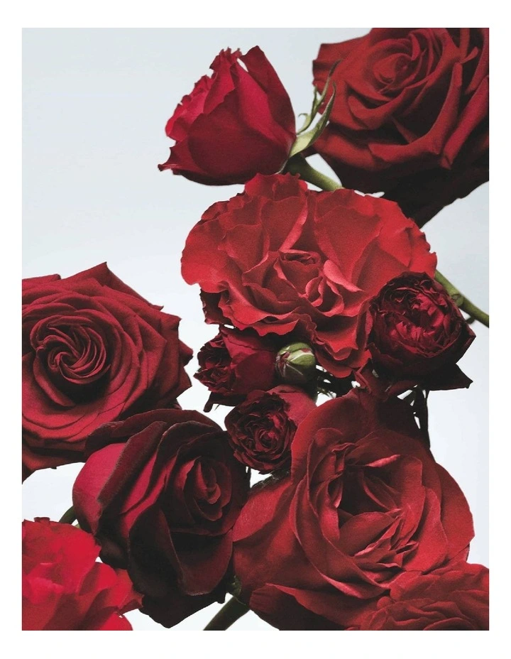 Red Roses Cologne image 5