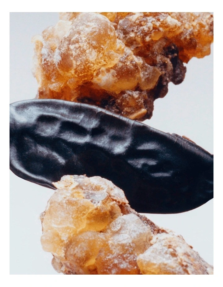 Myrrh & Tonka Body Creme image 2