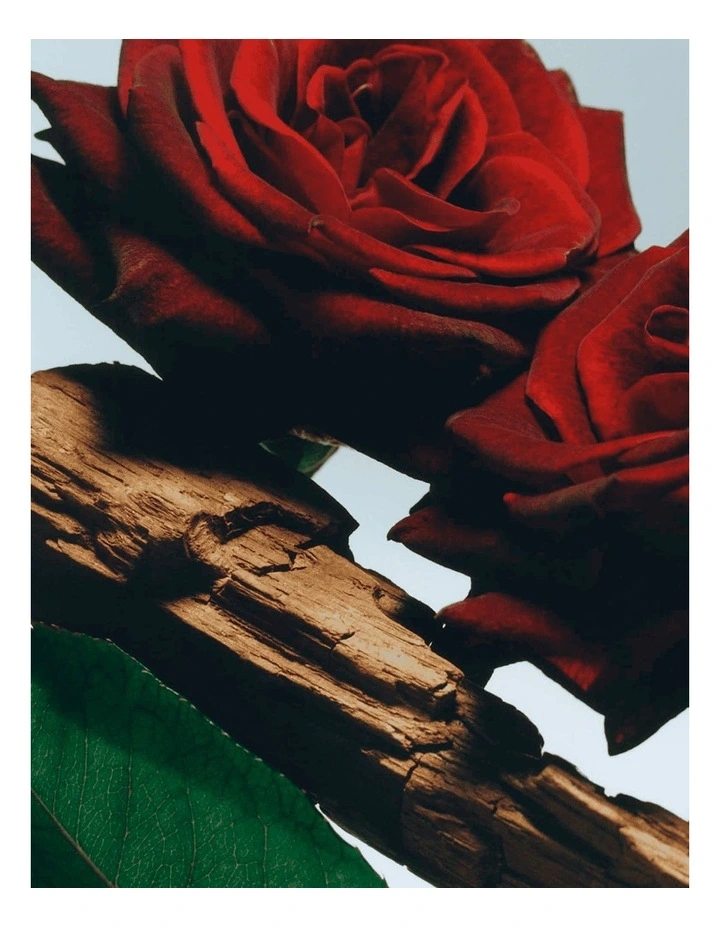 Velvet Rose & Oud Body Creme image 2