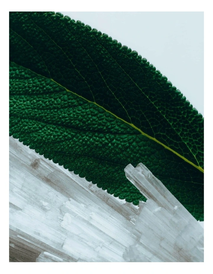 Wood Sage And Sea Salt Body Crme image 2