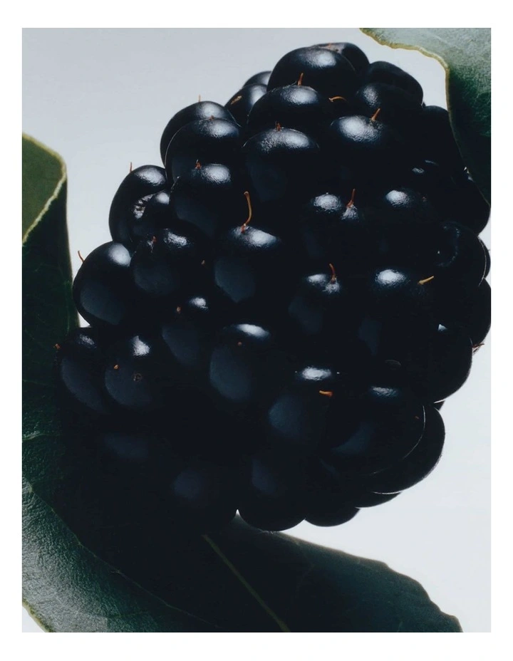 Blackberry And Bay Body Crme image 2