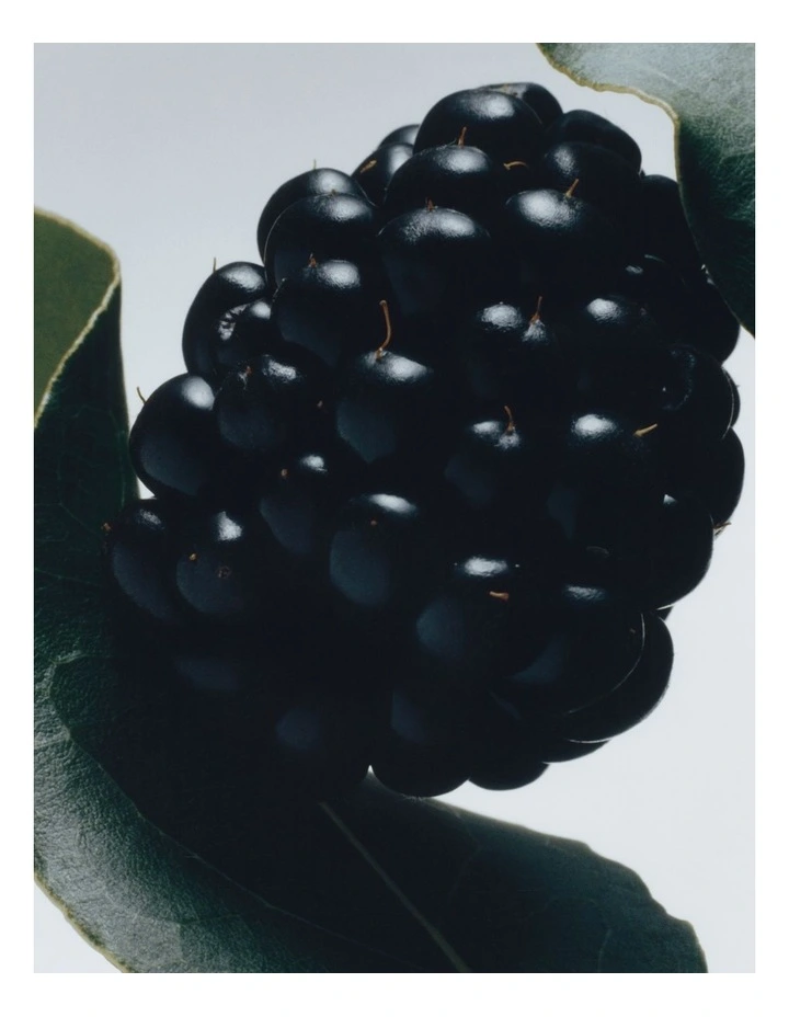 Blackberry And Bay Car Diffuser Refill image 3