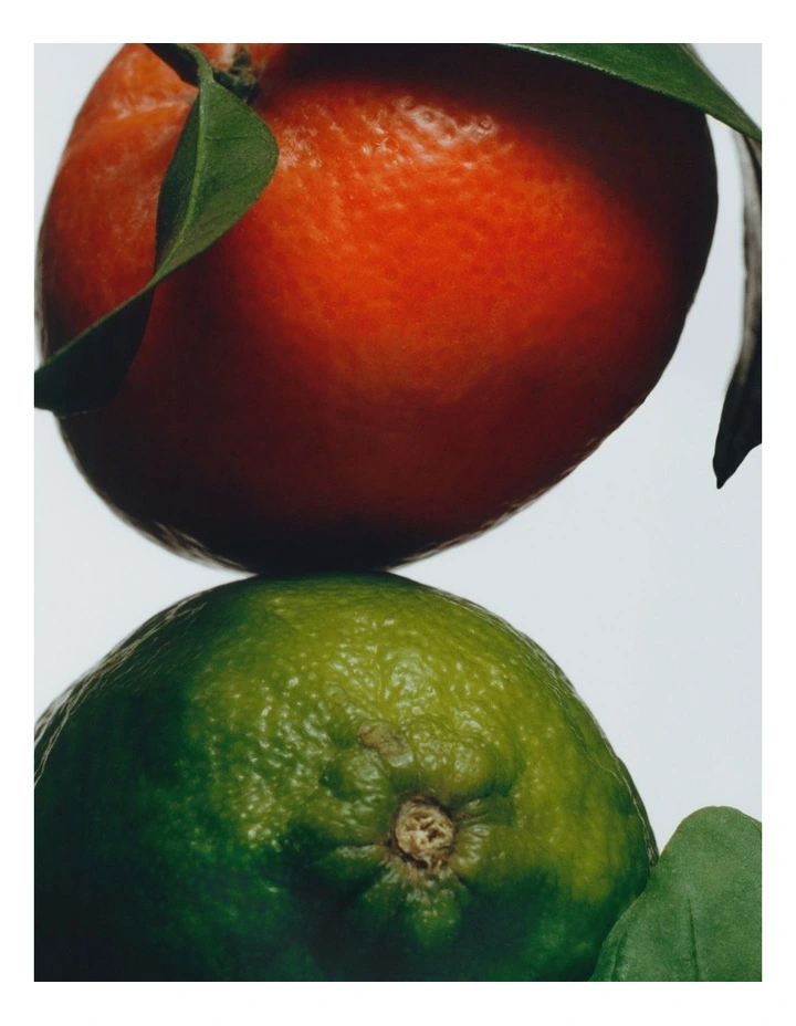 Lime Basil And Mandarin Car Diffuser Refill image 3
