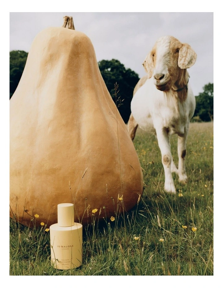 Velvety Butternut Cologne image 3