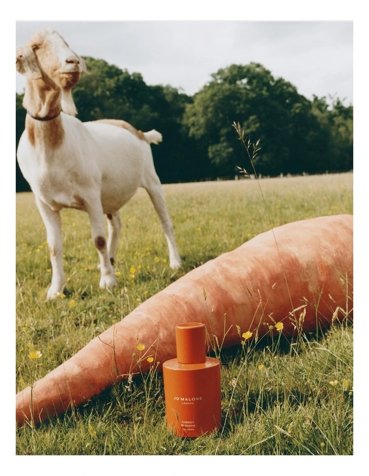Carrot Blossom Cologne image 3