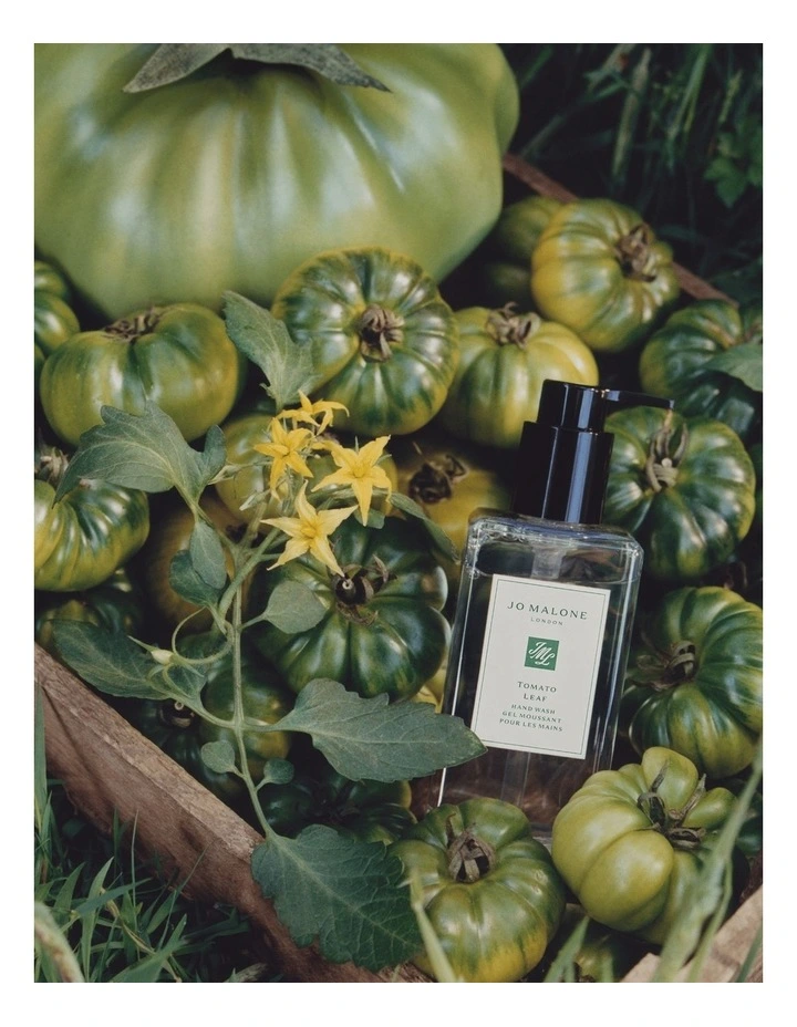 Tomato Leaf Hand Wash image 2