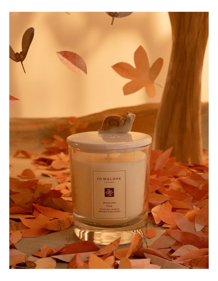 English Oak Classic Candle - Snail Lid Edition 200g image 2