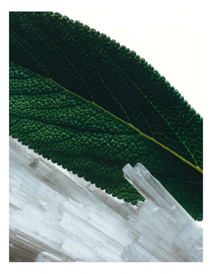Wood Sage And Sea Salt Hand Cream 2026 Edition image 2