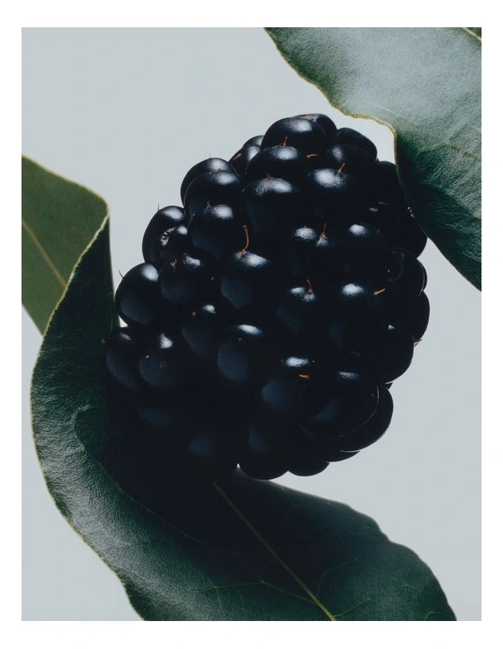 Blackberry & Bay Body & Hand Lotion 250ml image 2