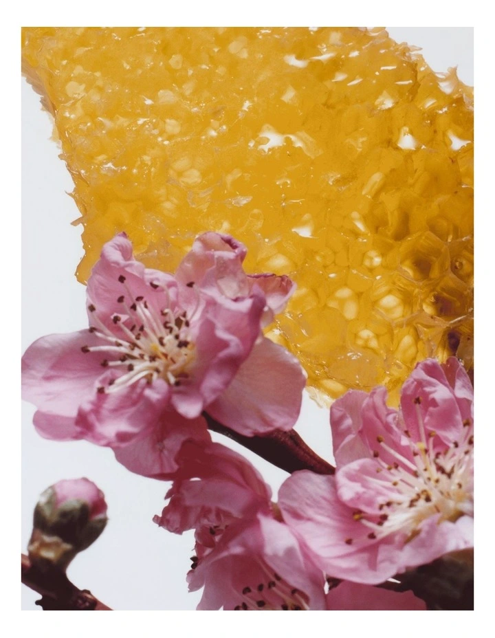 Nectarine Blossom & Honey Body & Hand Lotion 250ml image 2