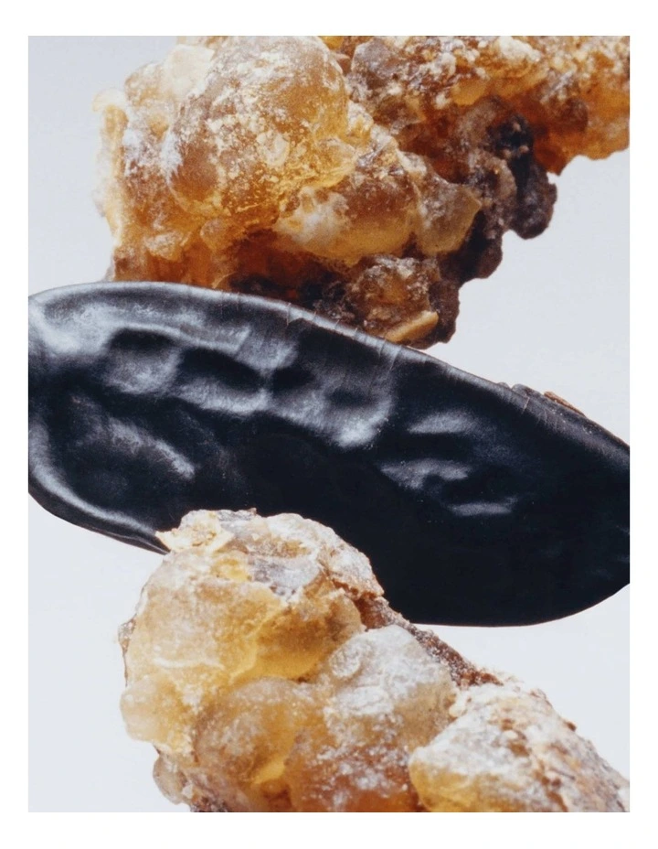 Myrrh and Tonka Cologne Intense image 6