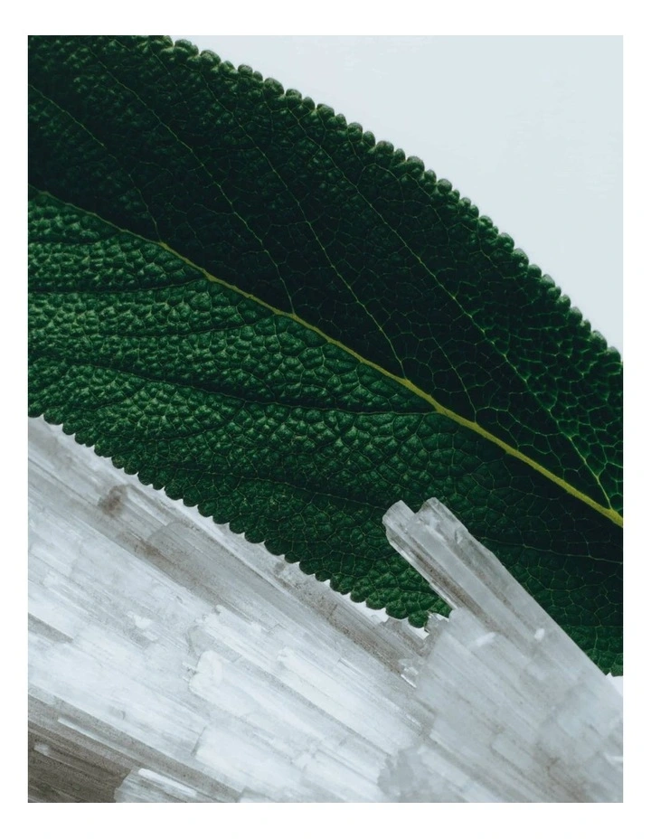 Cologne Discovery Collection image 5