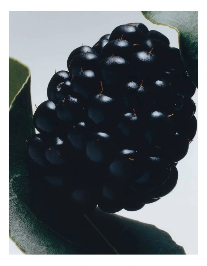 Cologne Discovery Collection image 6