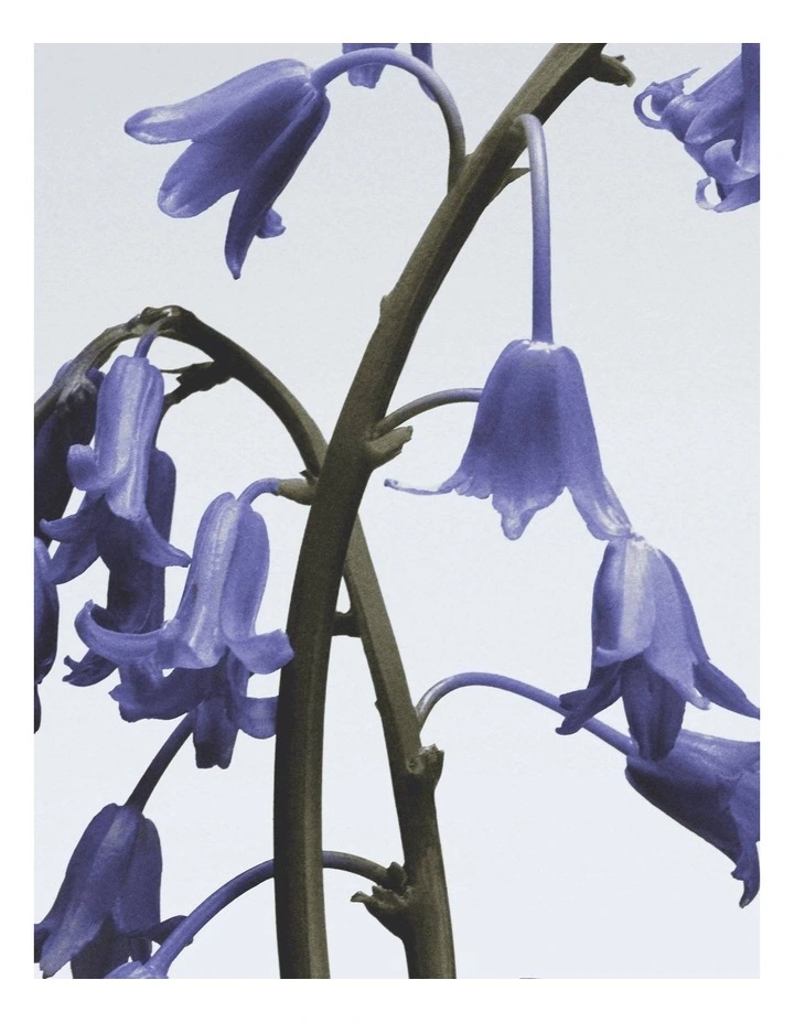 Cologne Discovery Collection image 7