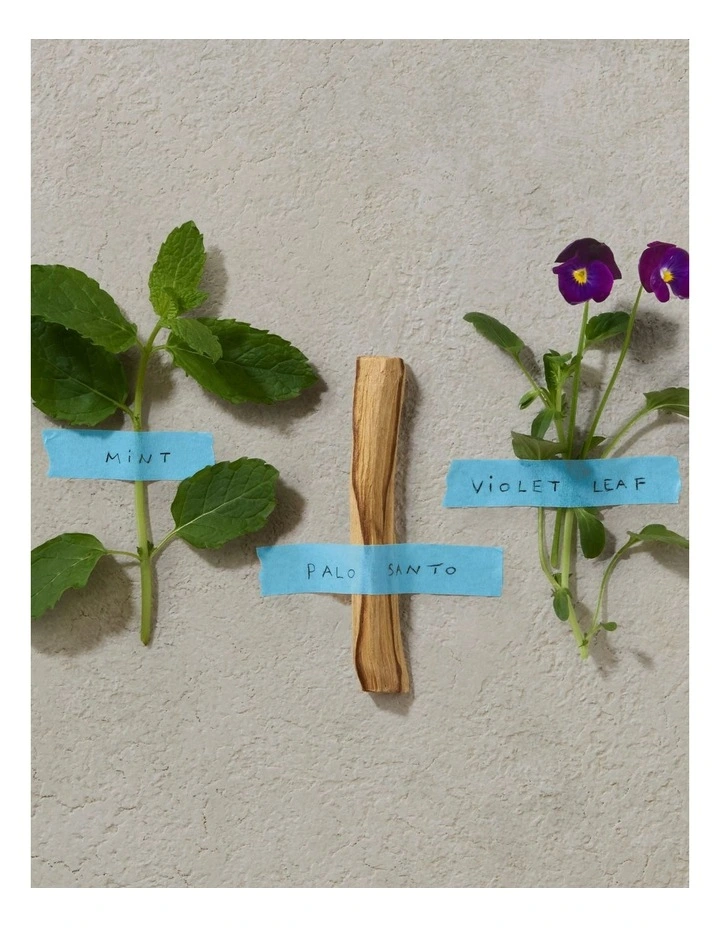 Bold Blend Eau De Parfum 100ml image 3