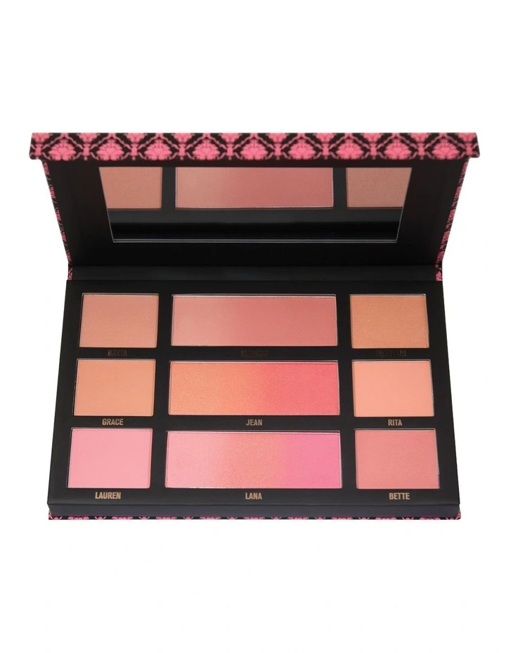 Pretty in Pink face palette & brush set image 2