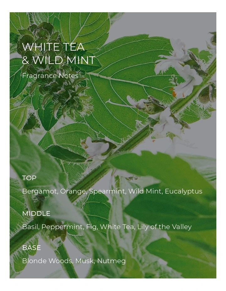 Alchemy Tea And Wild Mint Hand Lotion 450ml image 3