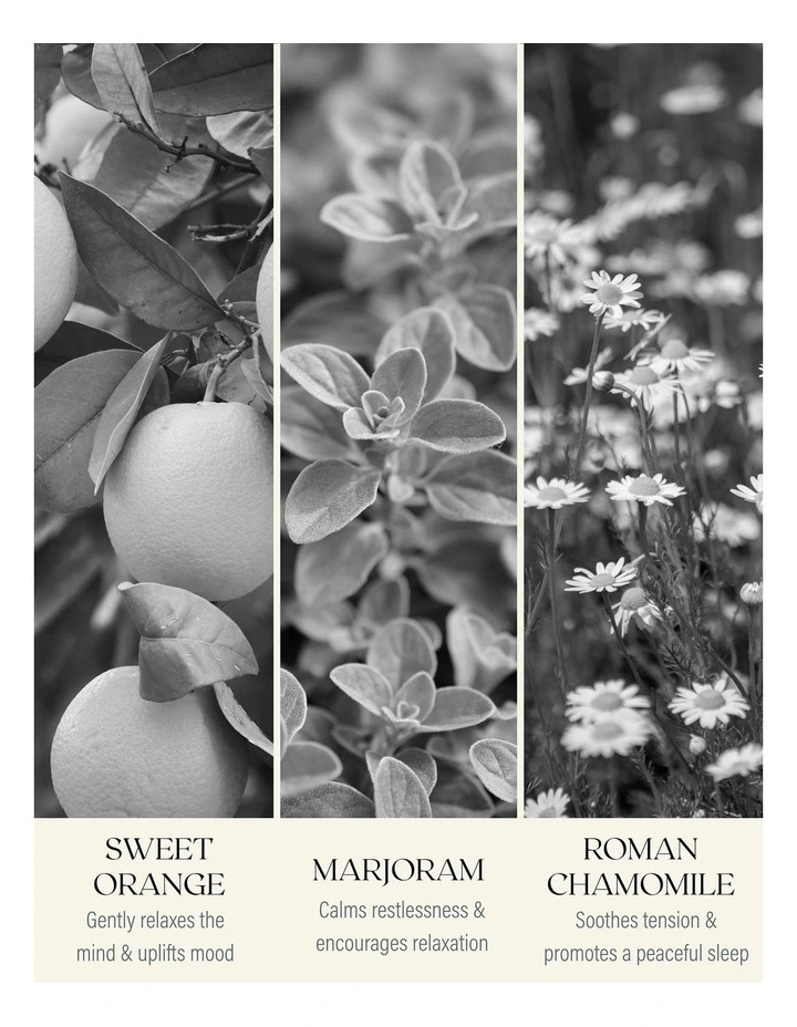 Sleep No Lavender Pure Essential Oil Blend image 4