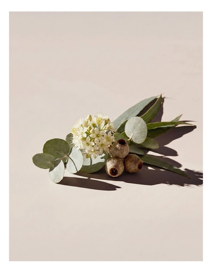 Room Spray - Willow Gum & Lemon Myrtle 100ml image 3