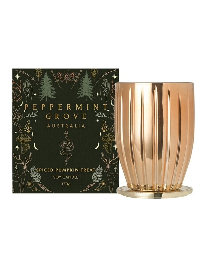 Spiced Pumpkin Treat Large Soy Candle 370g image 1