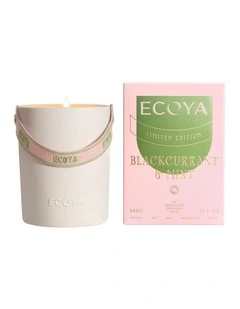 Blackcurrant And Mint Ceramic Candle 400g