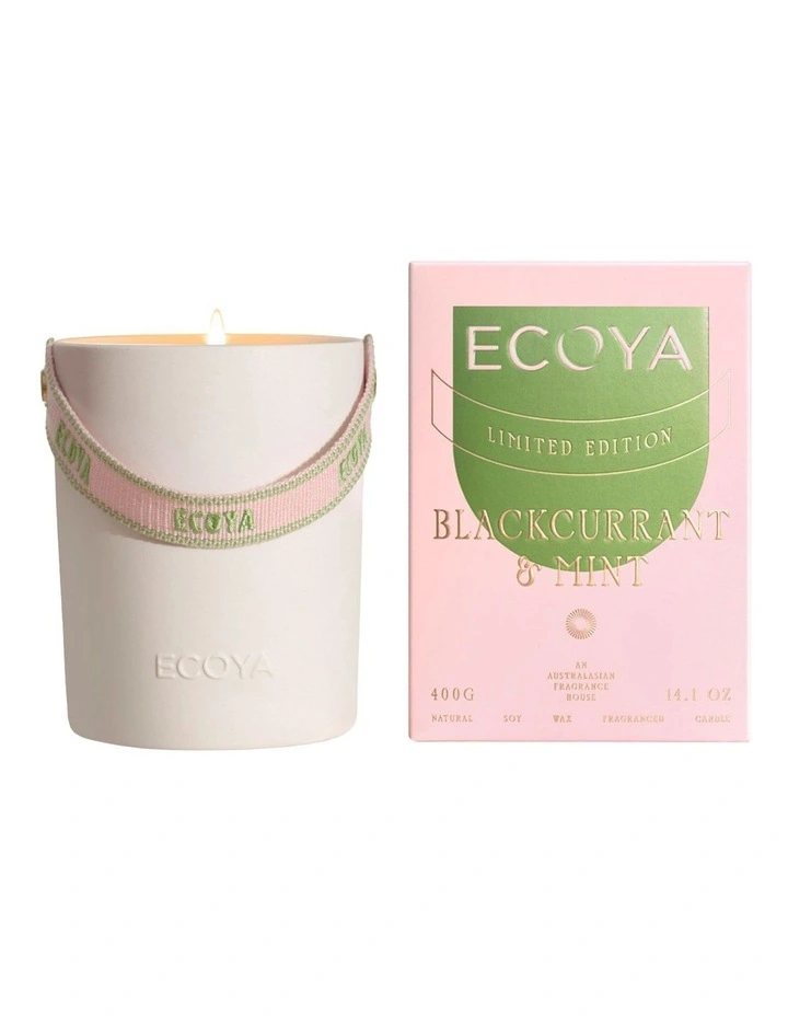 Blackcurrant And Mint Ceramic Candle 400g image 1