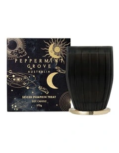 Spiced Pumpkin Treat Large Candle 370g