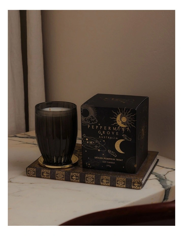 Spiced Pumpkin Treat Large Candle 370g image 3