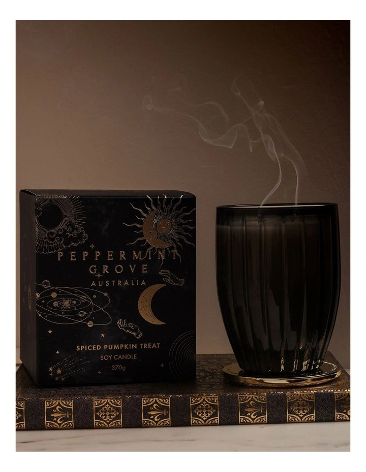 Spiced Pumpkin Treat Large Candle 370g image 5