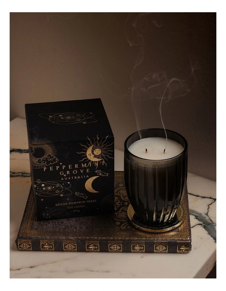 Spiced Pumpkin Treat Large Candle 370g image 6