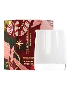 Candle 80g in Christmas Pudding