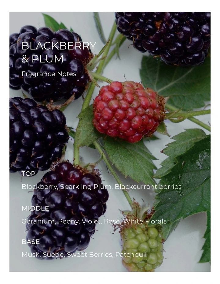 Blackberry And Plum Soy Candle 300g image 5