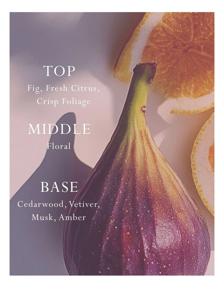 Emporium Classics Primavera Fig Reed Diffuser 200ml image 3