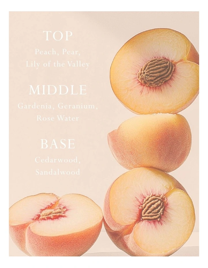 Peach Delight Car Diffuser - Fragrance Disc Refill image 3